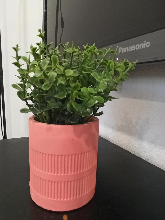 Appartement AL Rosa Esperança à Angra do Heroísmo Extérieur photo
